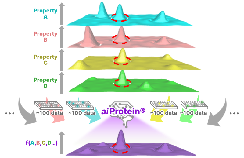 Multi-dimensional protein engineering