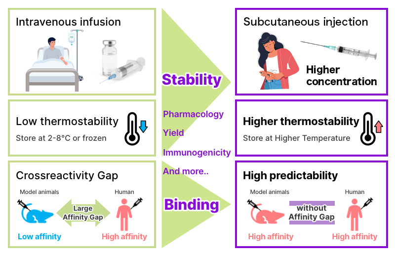 Acceleration of R&D and Creation of values